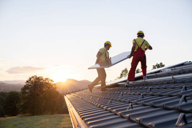 Best Roof Maintenance and Cleaning  in Salisbury, MO