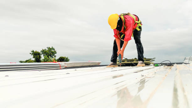 Best Cold Roofs  in Salisbury, MO
