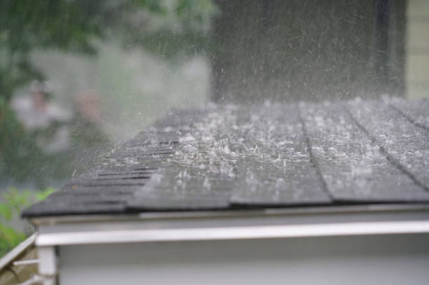 Best Roof Insulation Installation  in Salisbury, MO